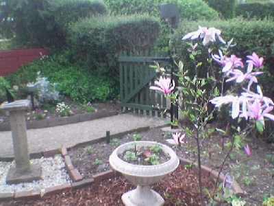 Front Garden